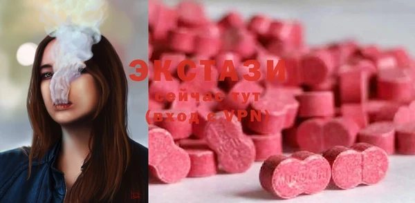 spice Новодвинск