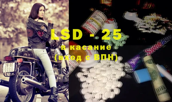 spice Новодвинск