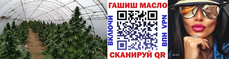 ТГК жижа  купить   Остров 